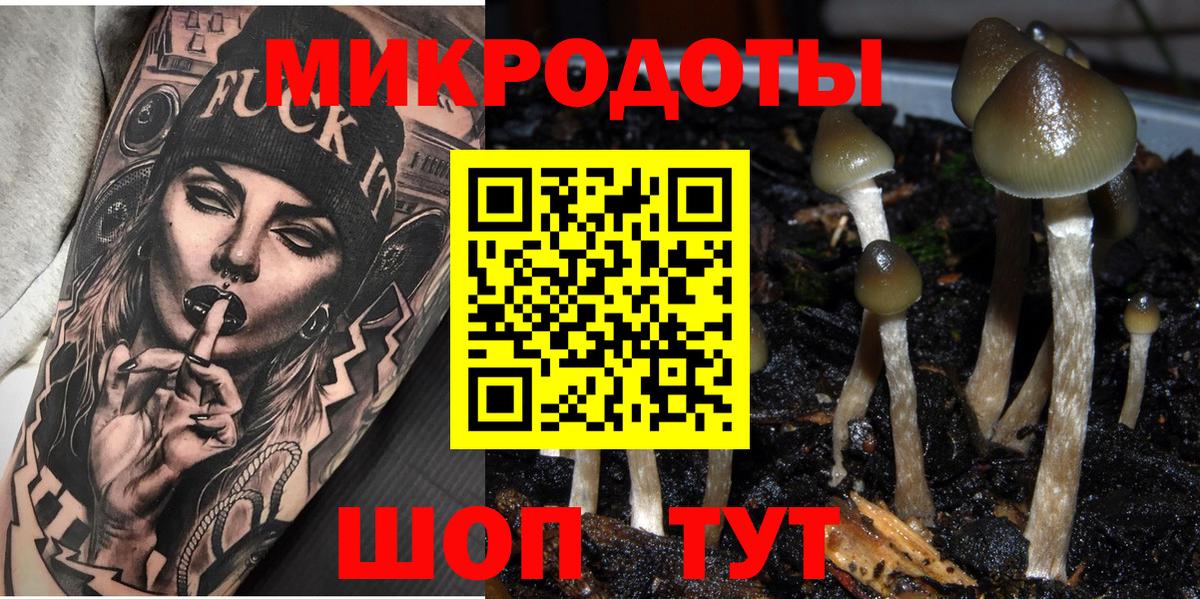 Галлюциногенные грибы Psilocybine cubensis Краснотурьинск