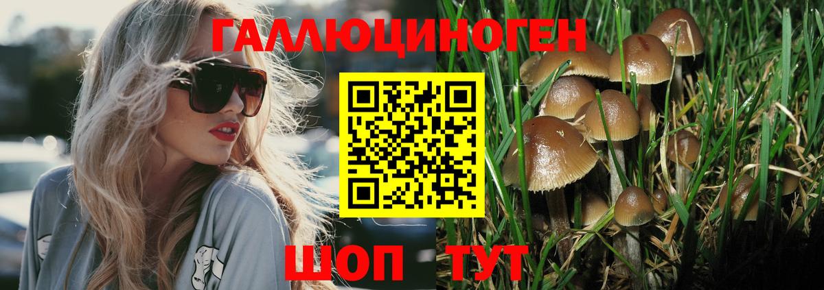 Галлюциногенные грибы Magic Shrooms  Вход с VPN  Краснотурьинск 